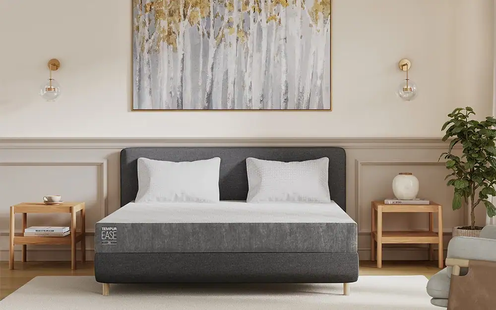 TEMPUR Ease 20 Mattress