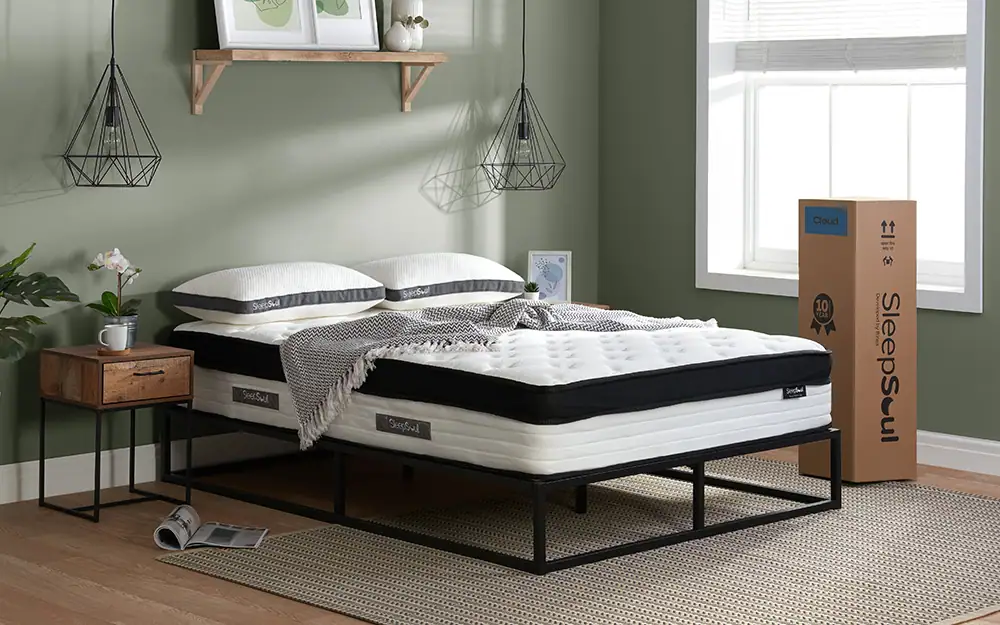 SleepSoul Cloud 800 Pocket Memory Pillow Top Mattress